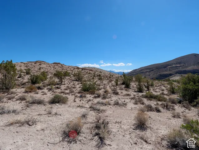 Expansive desert terrain featuring varied low-lying vegetation and distant mountain ranges under a clear sky