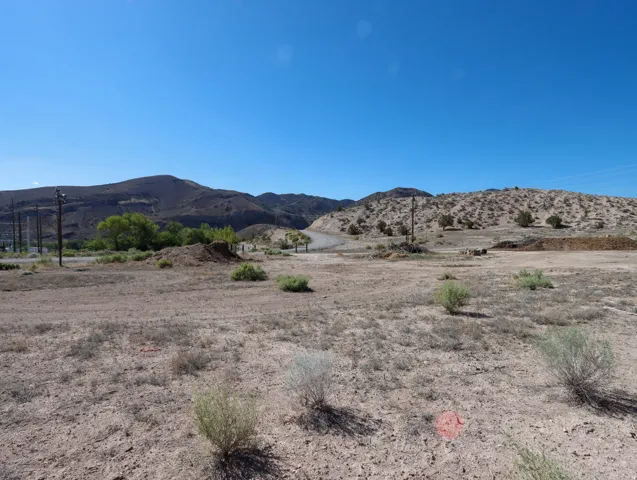 Expansive desert landscape featuring natural vegetation and distant mountains under a clear sky