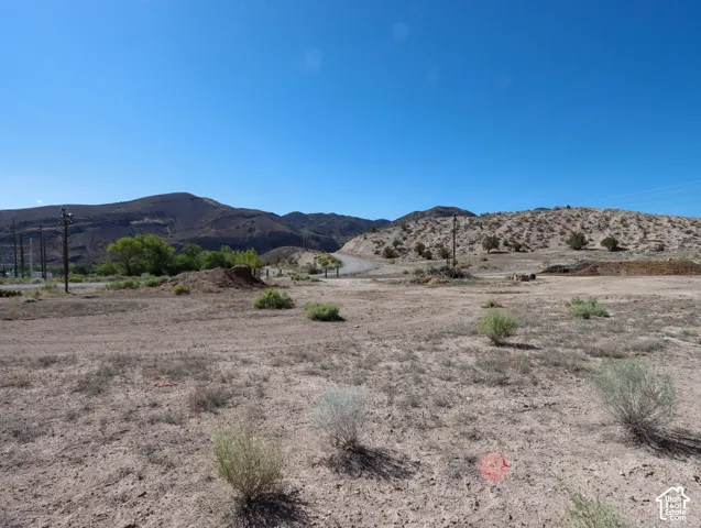 Expansive desert landscape featuring natural vegetation and distant mountains under a clear sky