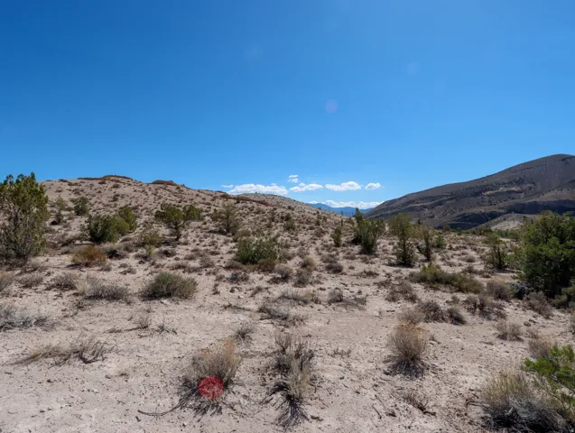 Expansive desert terrain featuring varied low-lying vegetation and distant mountain ranges under a clear sky