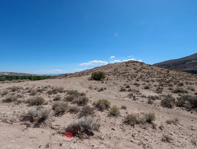 Expansive desert landscape with natural vegetation, distant green foliage, and undulating terrain under a clear sky