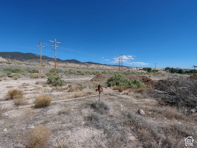 Expansive natural landscape with arid vegetation and distant mountains