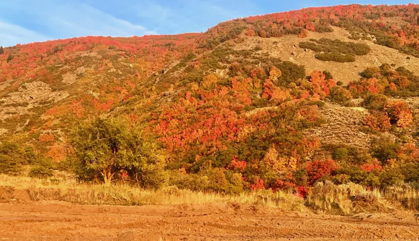 Expansive mountain landscape featuring varied terrain and vibrant foliage