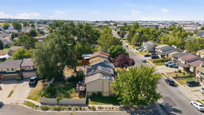 Suburban street featuring mature trees and a mix of single-family homes and townhomes with various rooflines