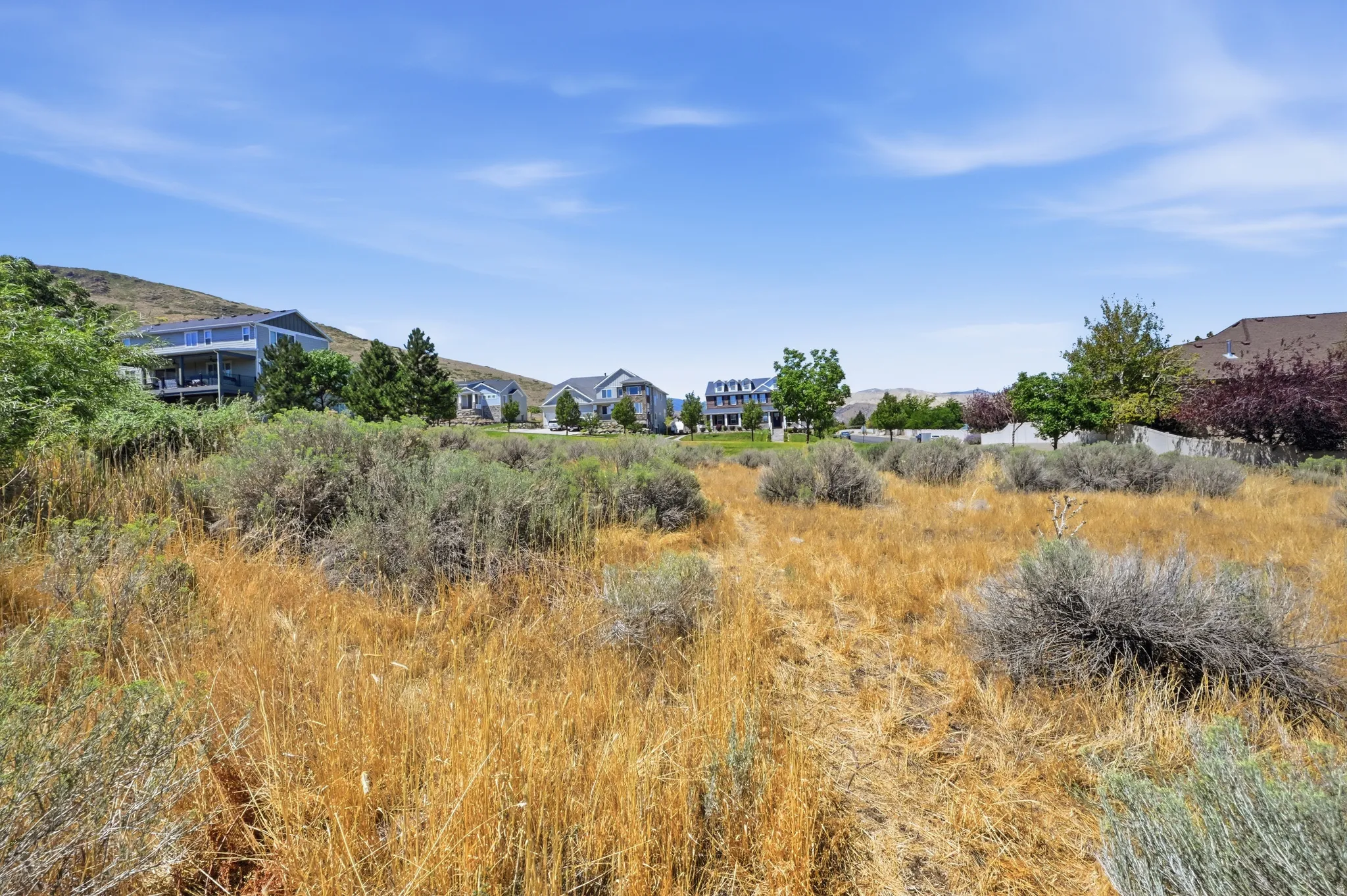 Expansive undeveloped land featuring natural grasses and shrubbery