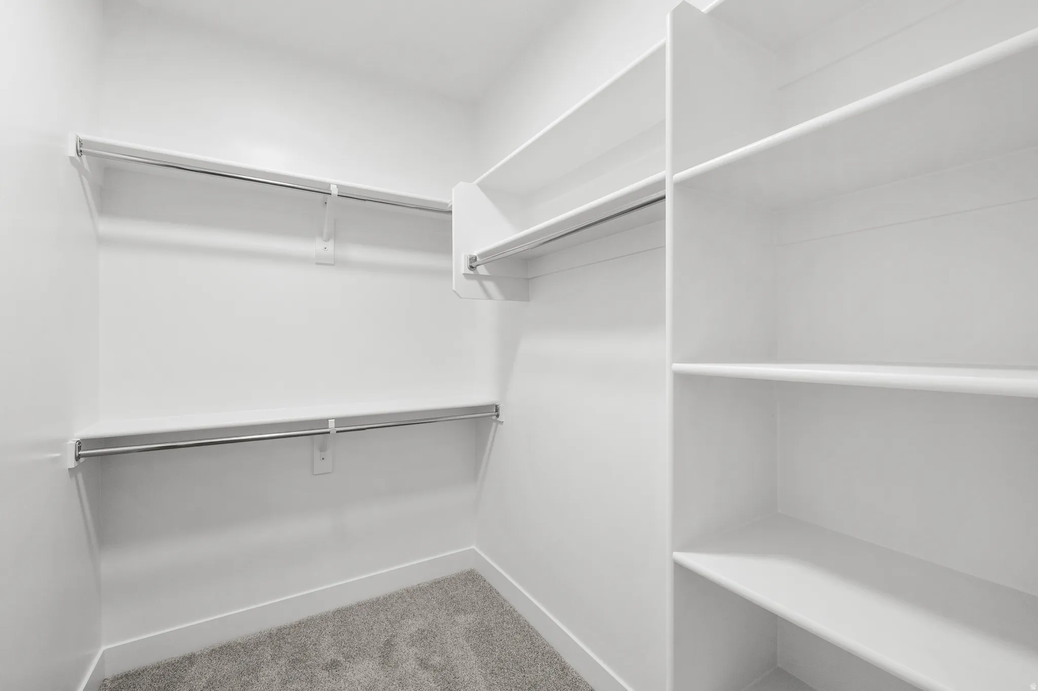 Walk-in closet featuring built-in shelving, dual hanging rods, and grey carpeting