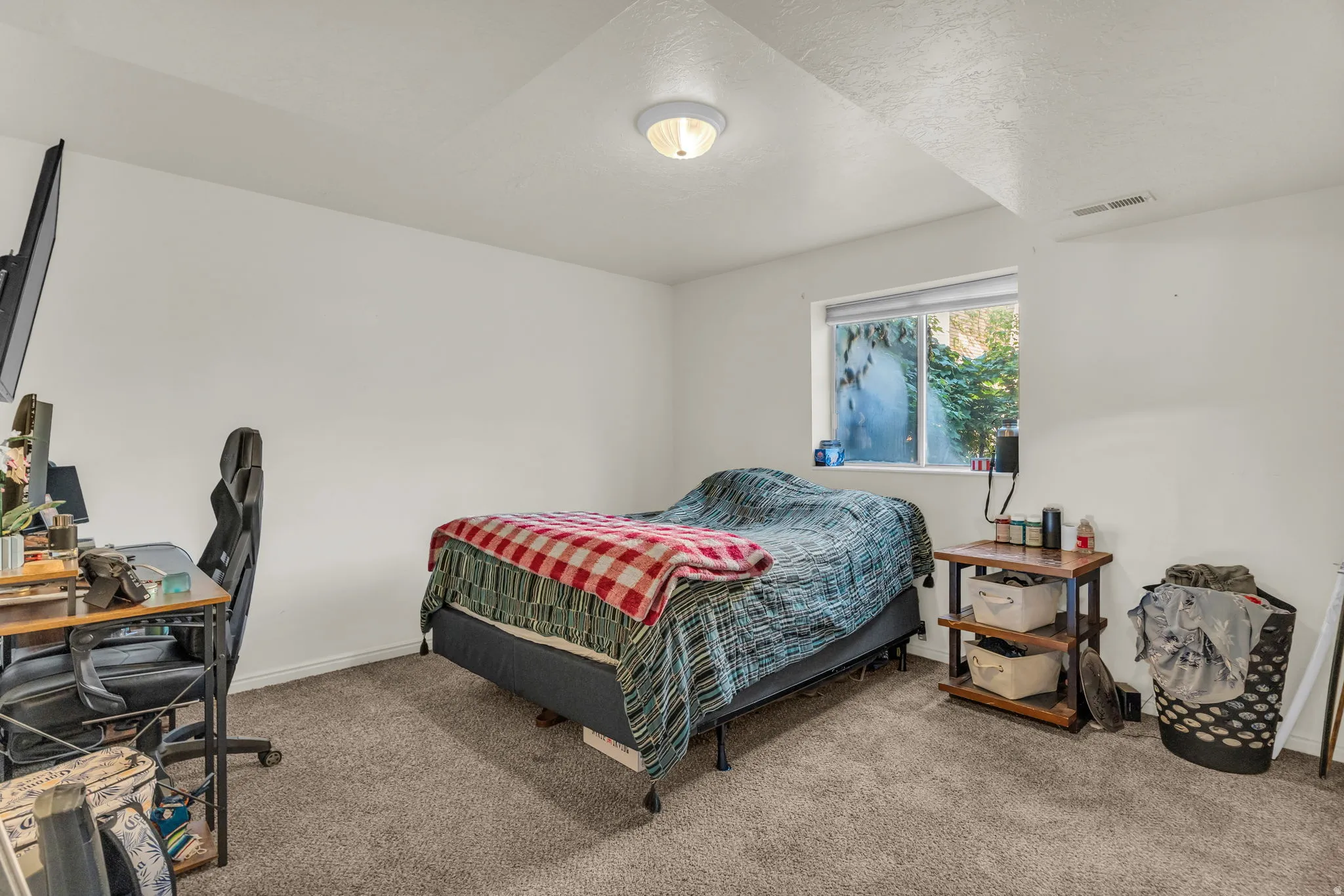 Carpeted room featuring a window with exterior foliage, white walls, and a ceiling-mounted light fixture