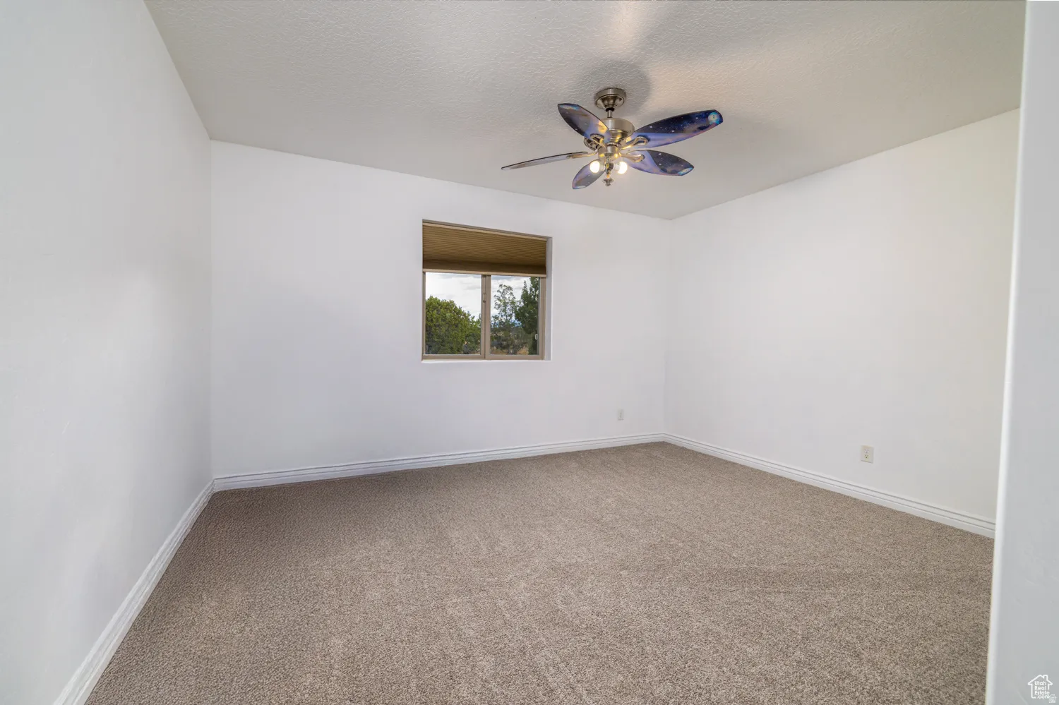 Neutral-toned carpeting extends throughout this interior space, complemented by crisp white walls and white baseboards