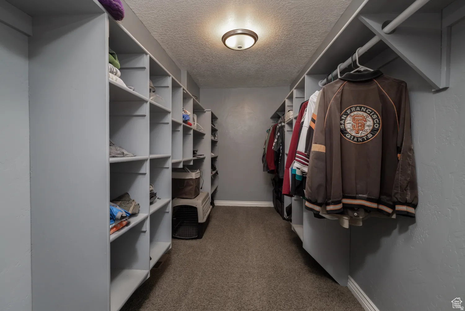 Walk-in closet featuring extensive built-in shelving, hanging rods, and carpet flooring