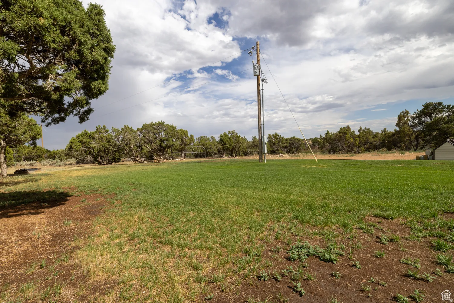 Expansive grassy area surrounded by mature trees, featuring a utility pole and a small outbuilding