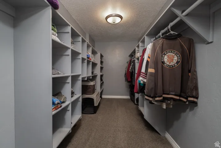 Walk-in closet featuring extensive built-in shelving, hanging rods, and carpet flooring