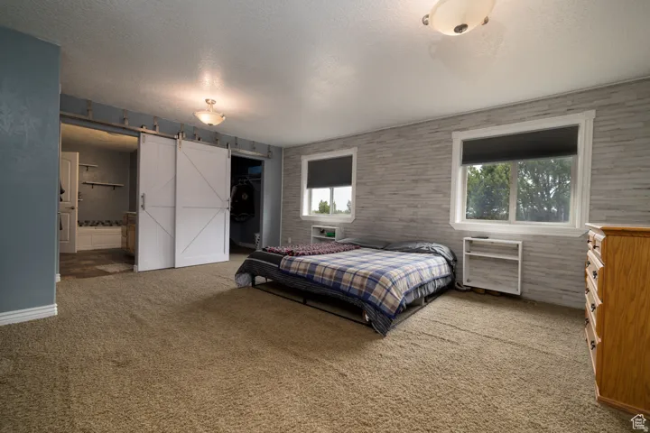 Spacious room featuring broadloom carpeting, two windows with roll-down shades, and a textured accent wall