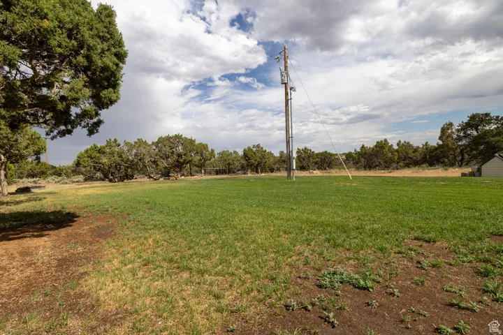 Expansive grassy area surrounded by mature trees, featuring a utility pole and a small outbuilding