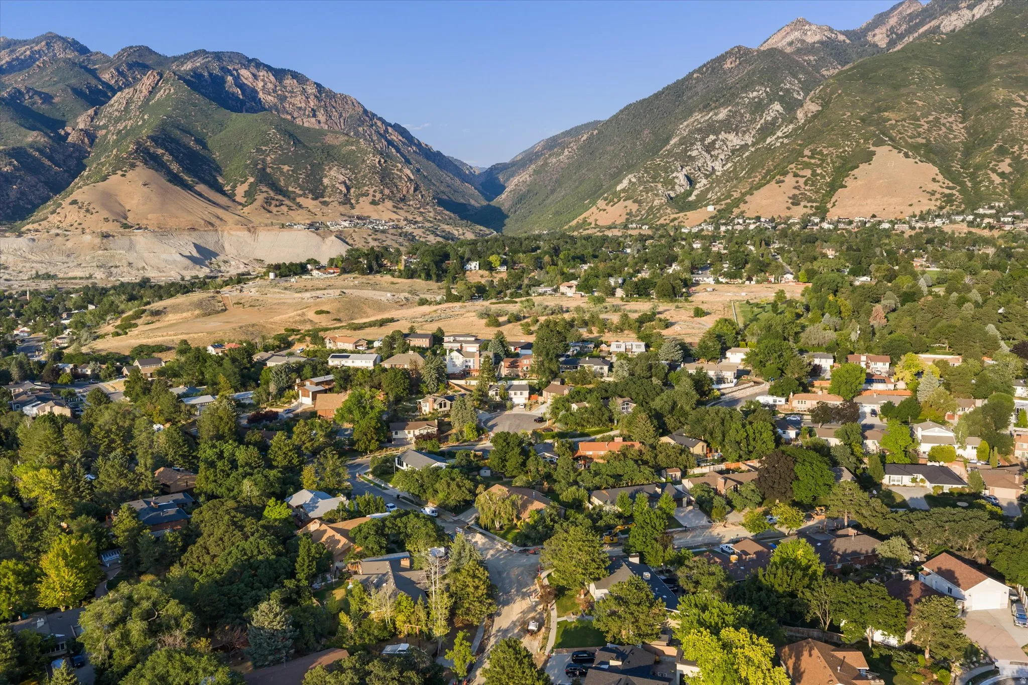 Expansive aerial view of a residential community featuring numerous homes nestled among mature trees