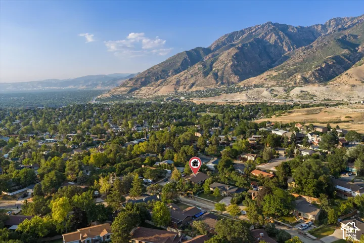 Aerial perspective showcasing a residential area with extensive tree coverage and a mountain backdrop