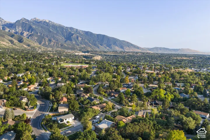 Expansive suburban landscape featuring a dense tree canopy and winding roads