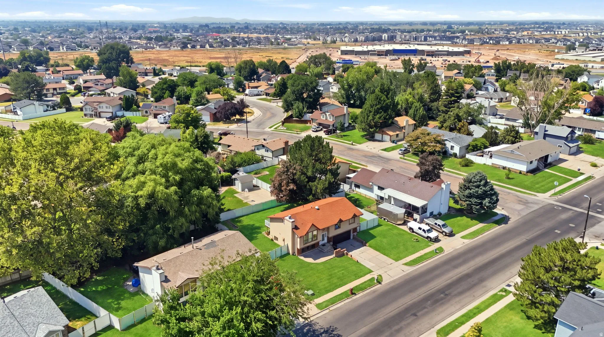 Residential street with mature trees and established landscaping