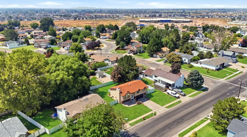 Residential street with mature trees and established landscaping