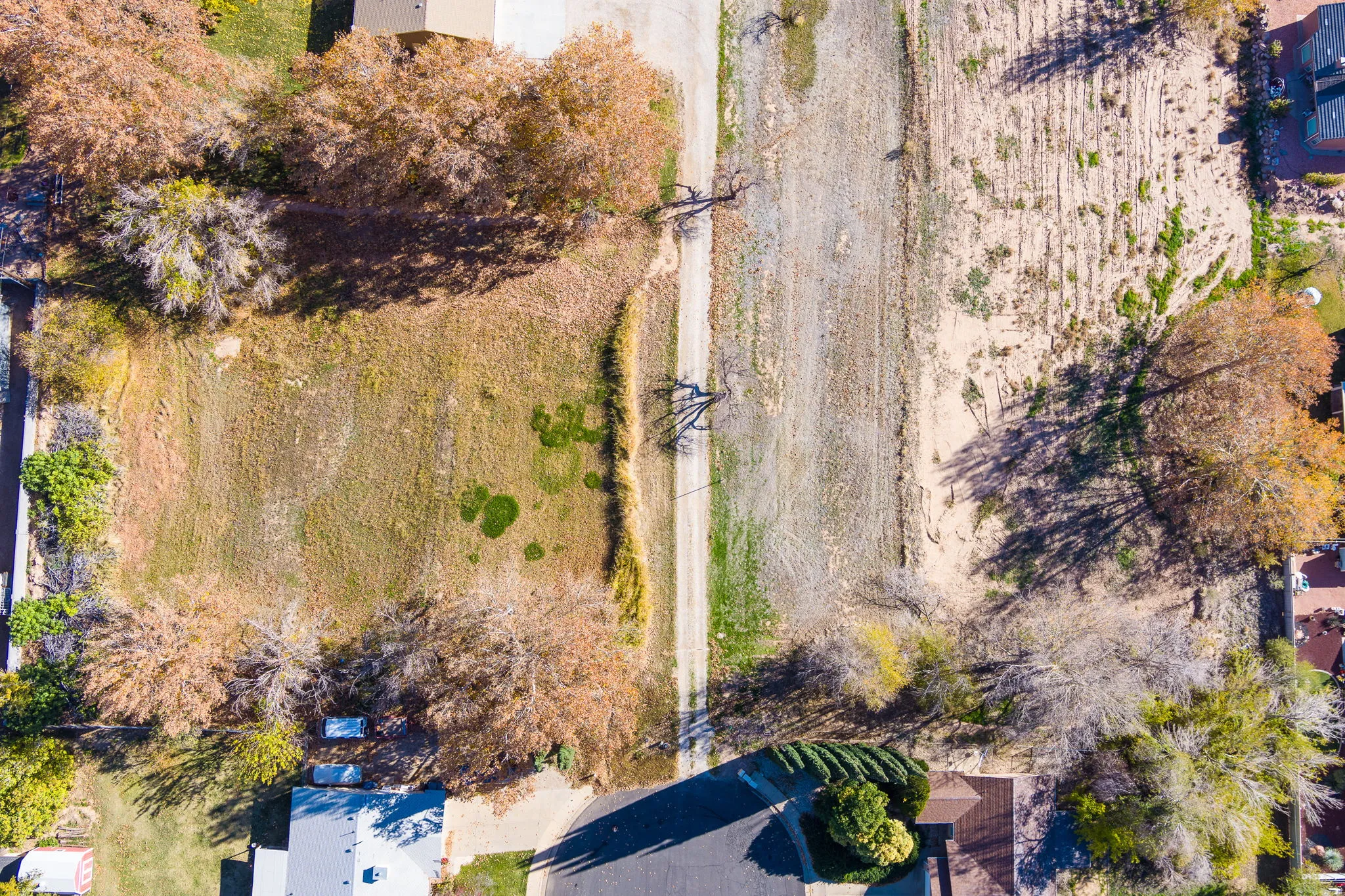 Expansive undeveloped parcel featuring mature trees bordering the property