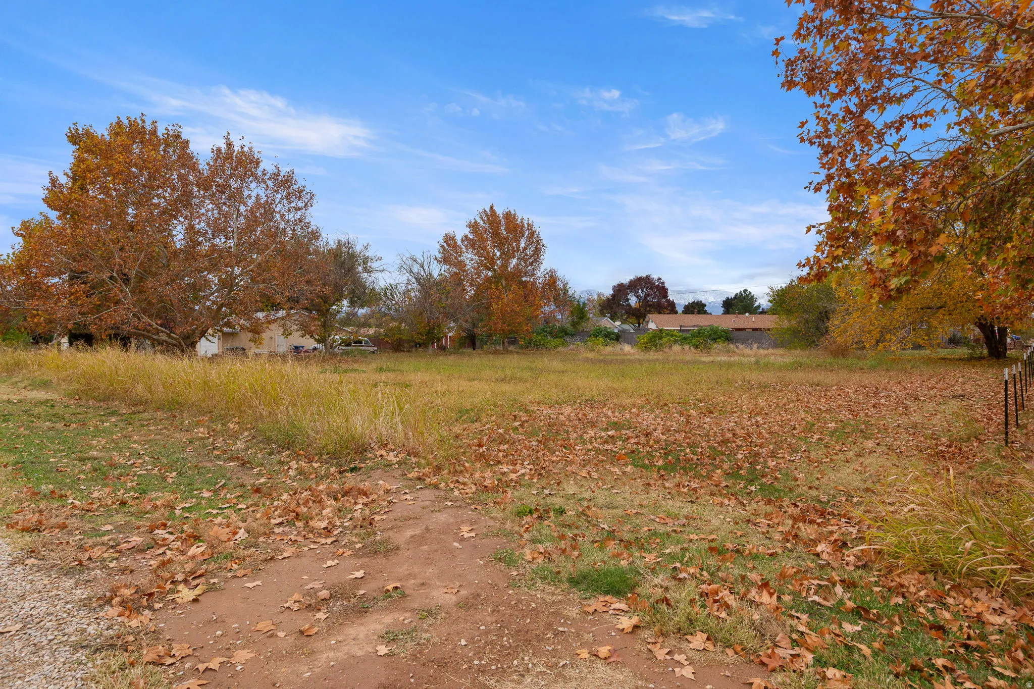 Expansive open land with a clear blue sky overhead