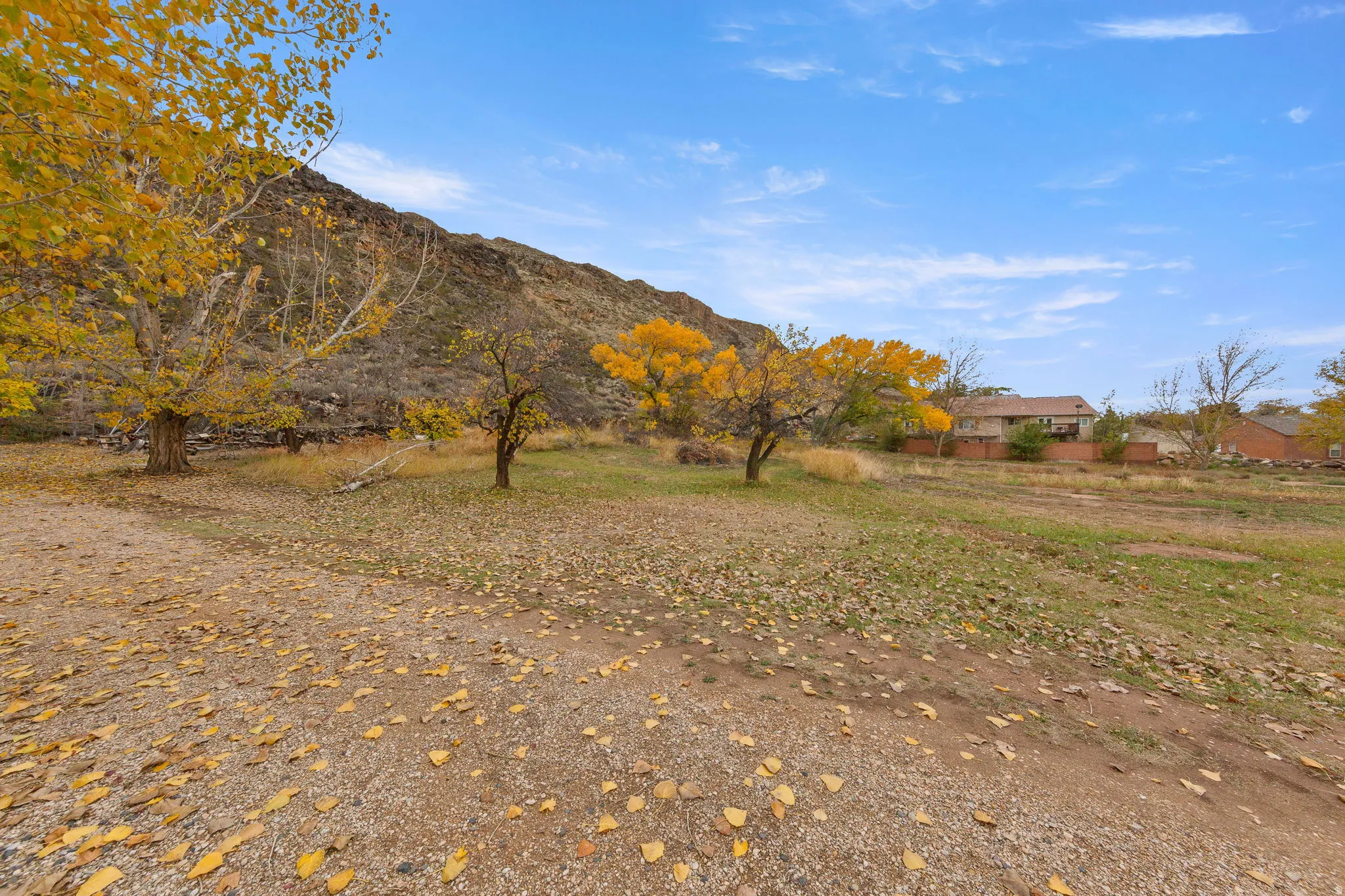 Expansive outdoor area featuring a rugged rock formation, scattered trees with golden autumn foliage, and a natural ground cover of grass and fallen leaves
