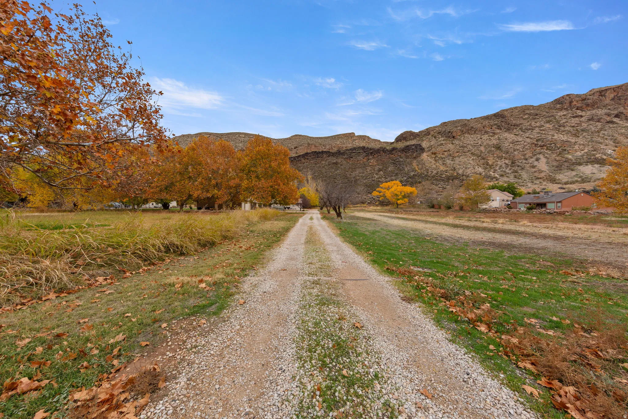 Gravel driveway bordered by expansive green and golden-hued foliage, with a mountainous backdrop