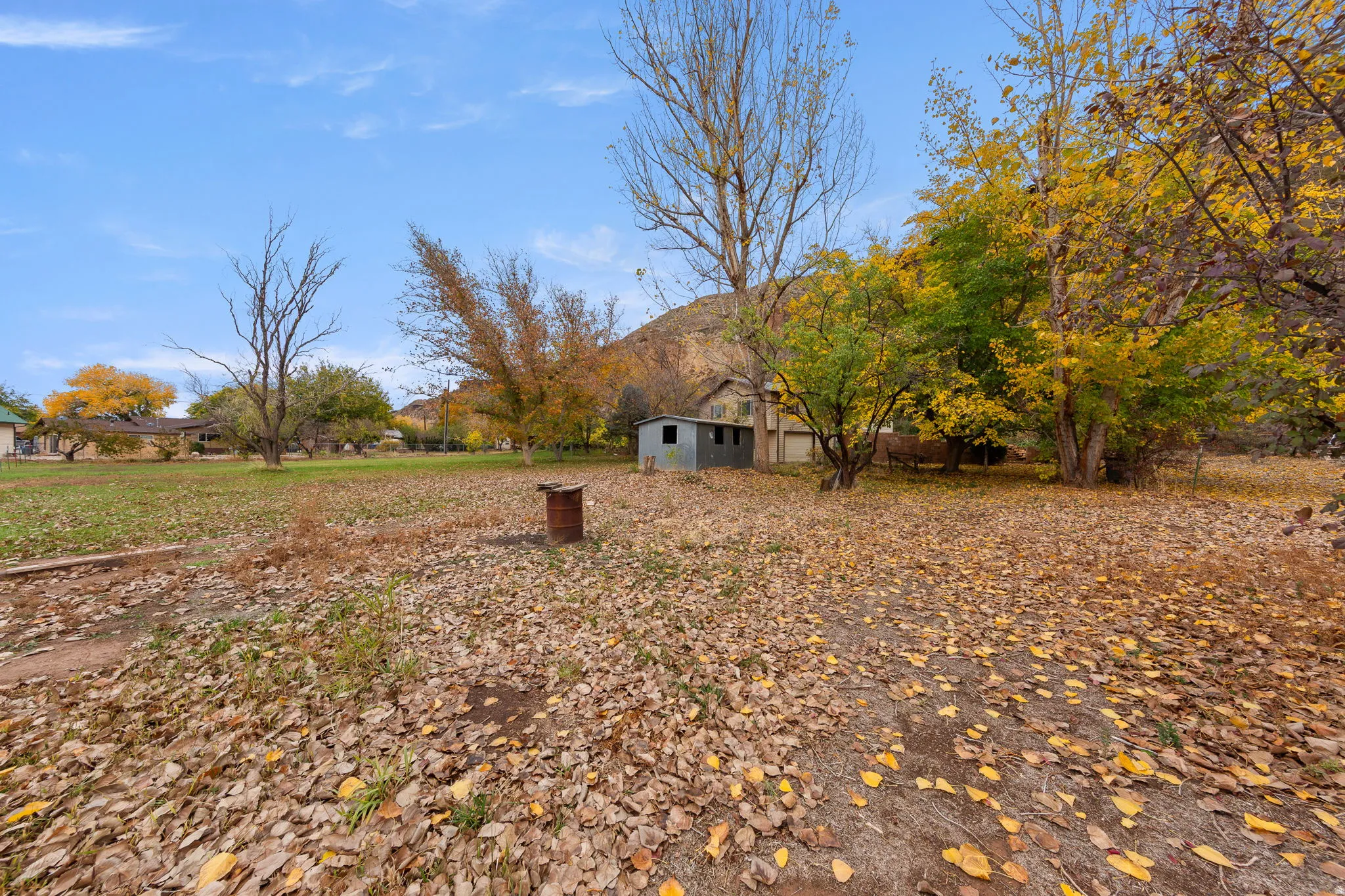 Expansive outdoor area featuring mature trees, a detached storage shed, and a natural landscape