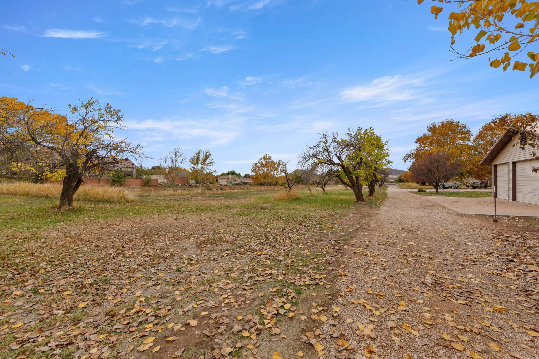 Expansive open field with scattered trees and a gravel driveway