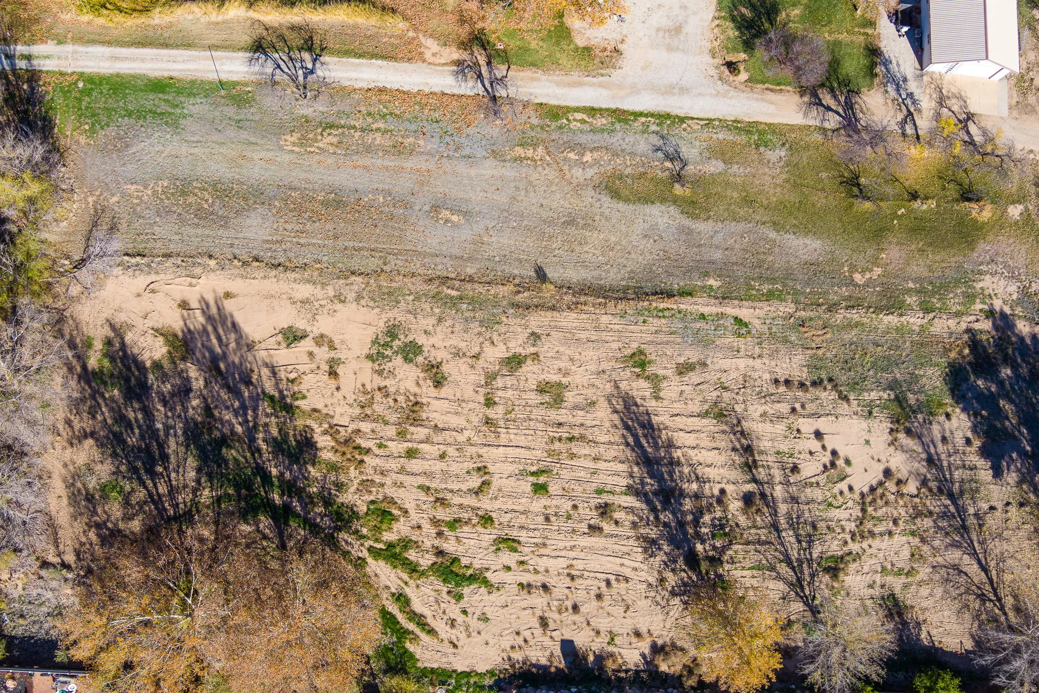 Expansive undeveloped parcel featuring varied terrain, a partial dirt road, mature trees, and natural vegetation