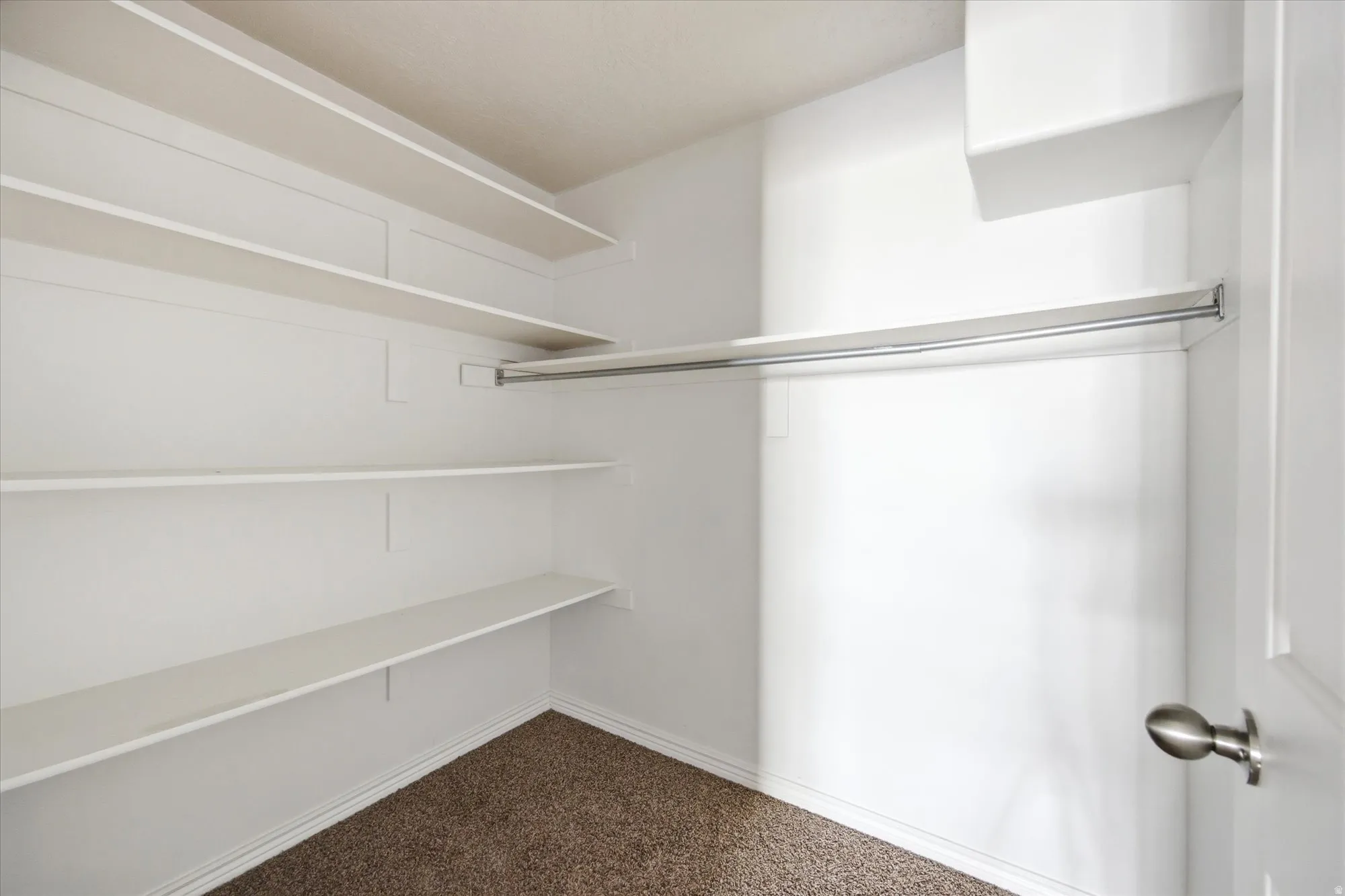 Spacious walk-in closet featuring white built-in shelving, a full-length clothing rod, and neutral-toned carpeting