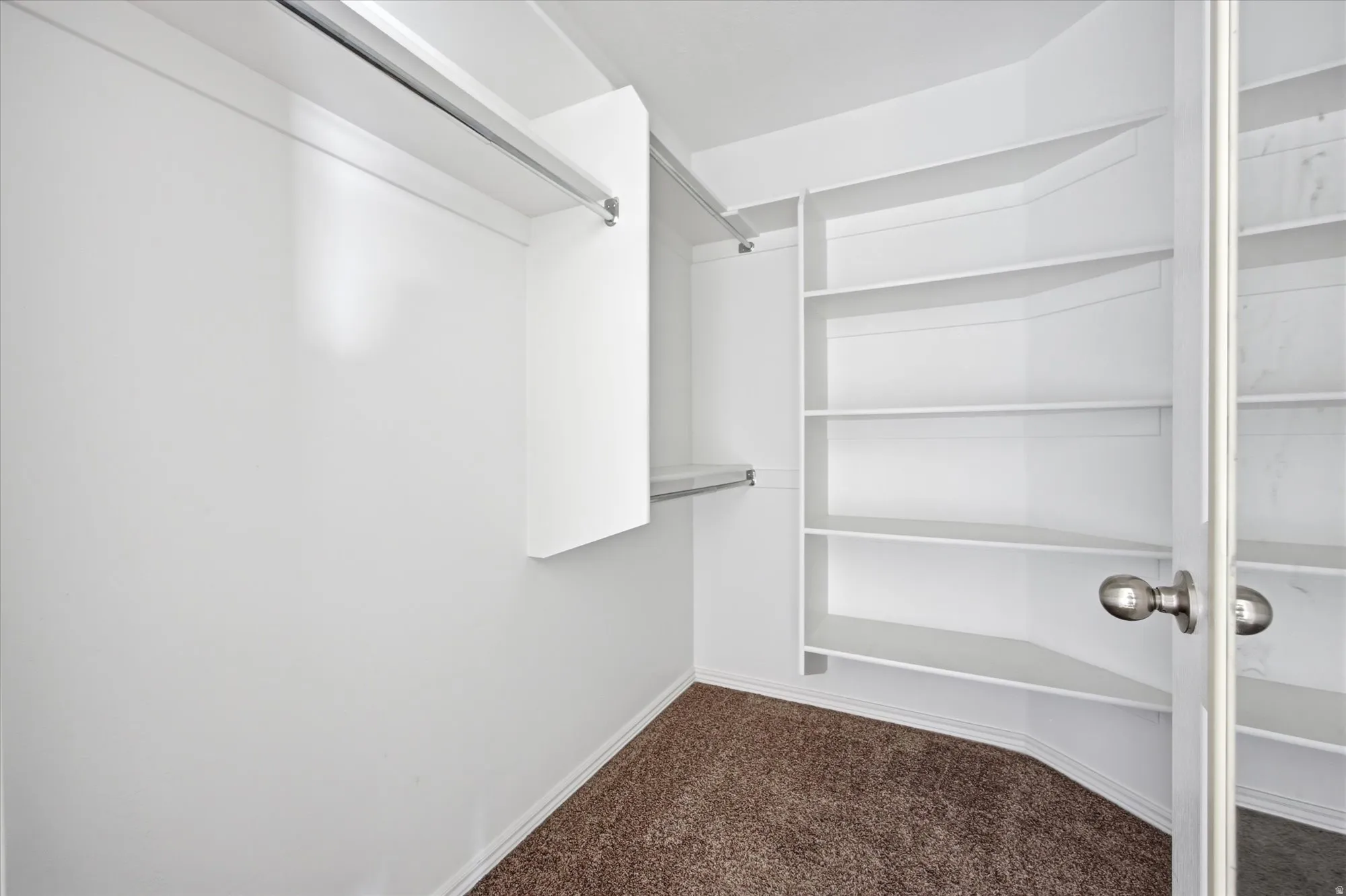 Walk-in closet with built-in shelving, white walls, and brown carpeting