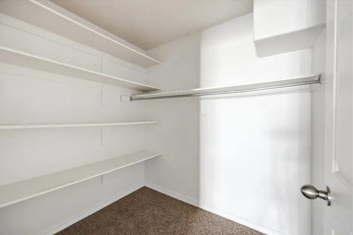 Spacious walk-in closet featuring white built-in shelving, a full-length clothing rod, and neutral-toned carpeting