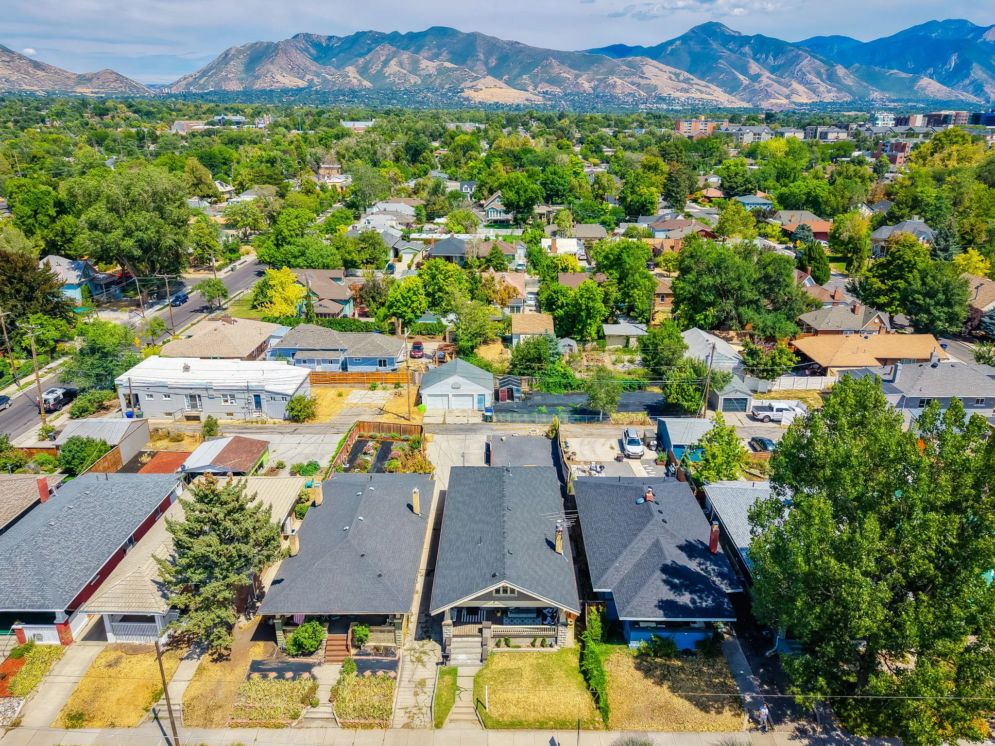 Residential properties featuring varied architectural styles and established landscaping, set against a backdrop of distant mountains
