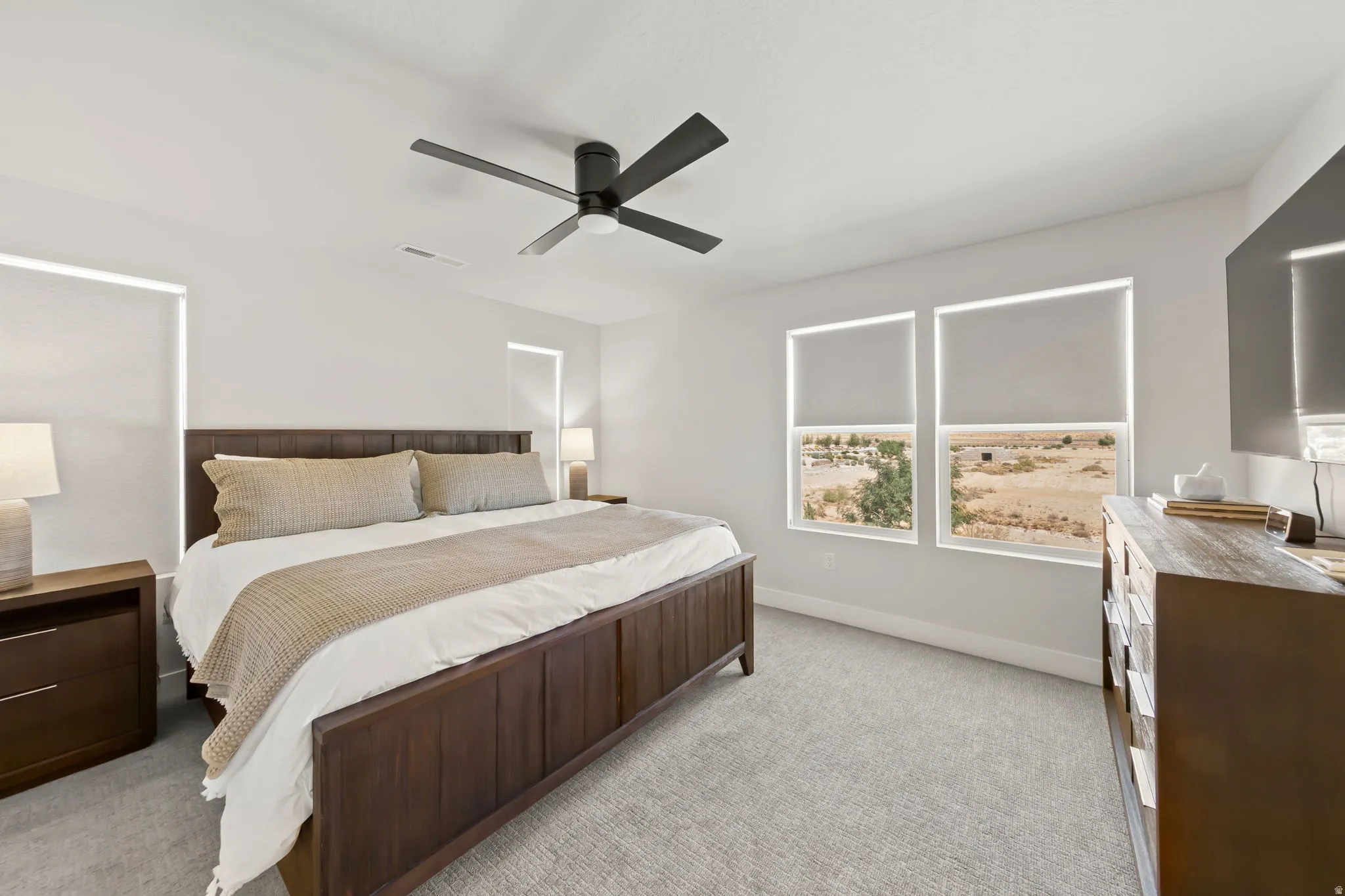Spacious interior featuring light gray carpeting, two large windows with roller shades, and a ceiling fan