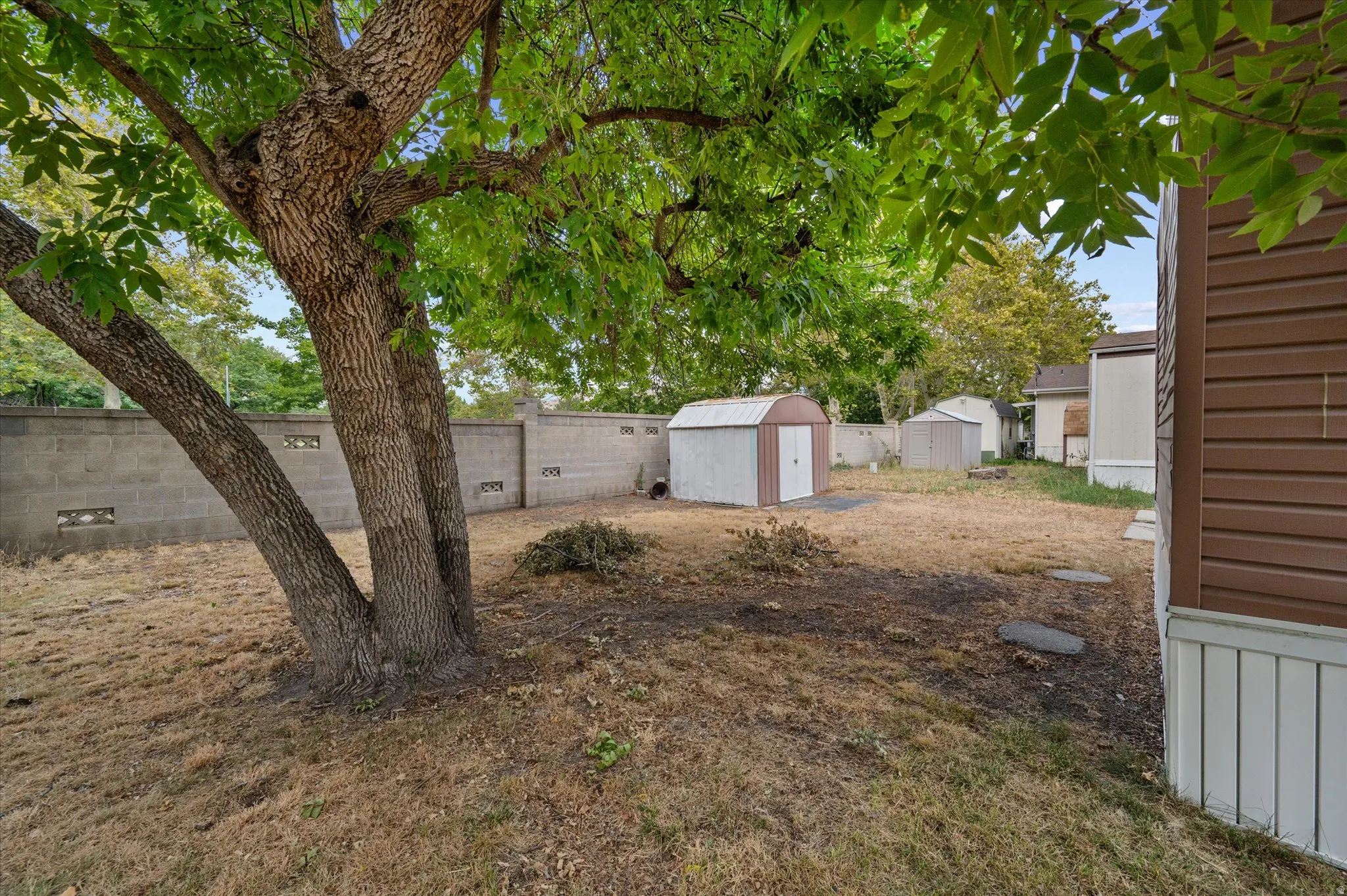 Rear yard featuring a mature shade tree, a concrete block privacy wall, and two metal storage sheds