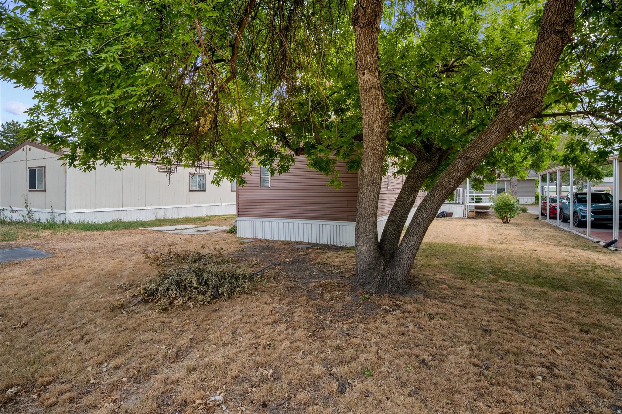 Mature tree providing shade, with a brown-sided structure featuring white trim and skirting