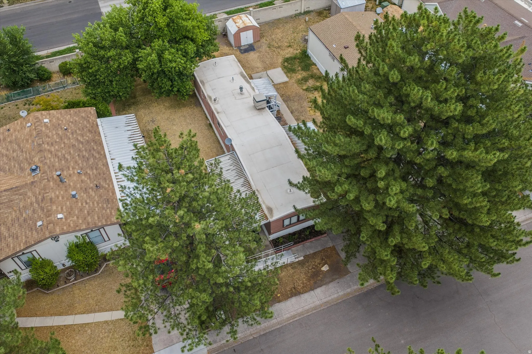 Aerial perspective showcasing the property with mature evergreen trees, a paved street, and a concrete sidewalk