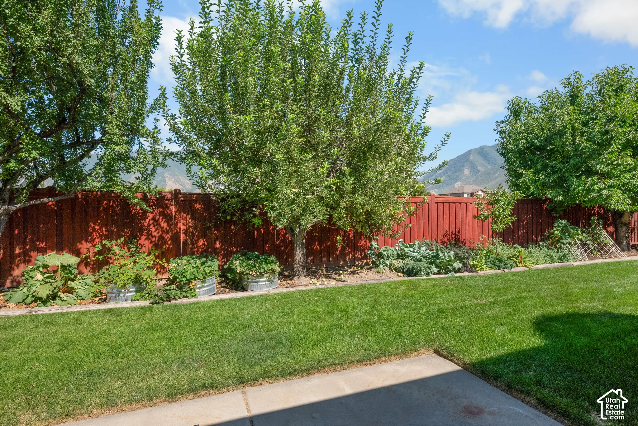 beautiful mature landscaping with fruit trees and garden boxes