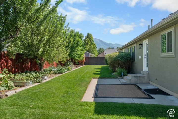 Beautiful backyard with large patio