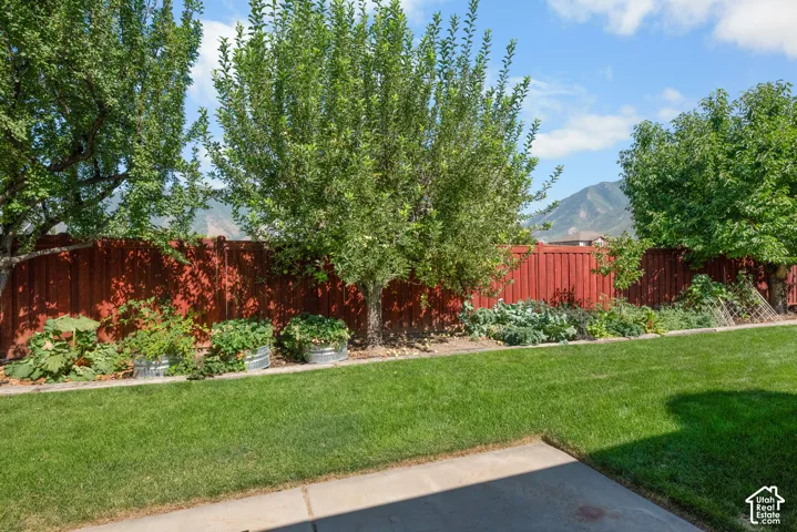 beautiful mature landscaping with fruit trees and garden boxes