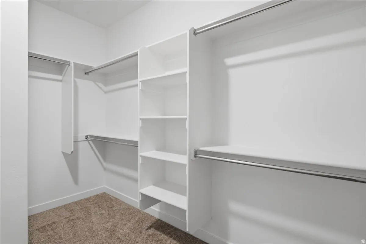 Walk-in closet featuring white built-in shelving, multiple hanging rods, and neutral carpet flooring