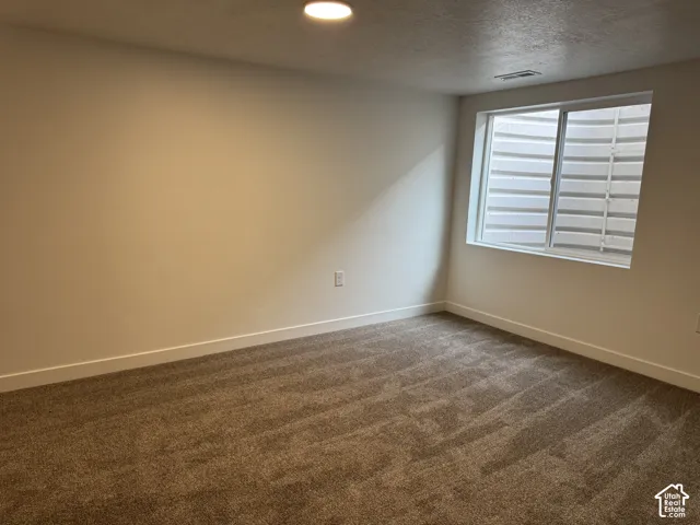 Neutral wall finishes, textured carpeting, and a wide window featuring a corrugated egress well