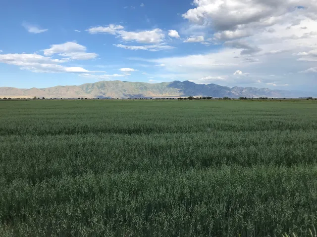 Mountain view with rural landscape