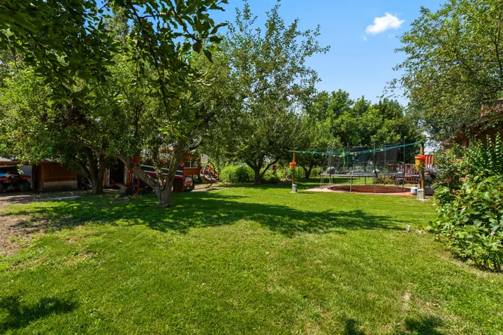 2 Apple trees 2 pear trees 1 cherry tree 2 peach trees 2 plum trees 2 Fig trees and a walnut tree, Raspberries, blackberries, blueberries, grapes (seedless and seeded) and strawberries bushes.