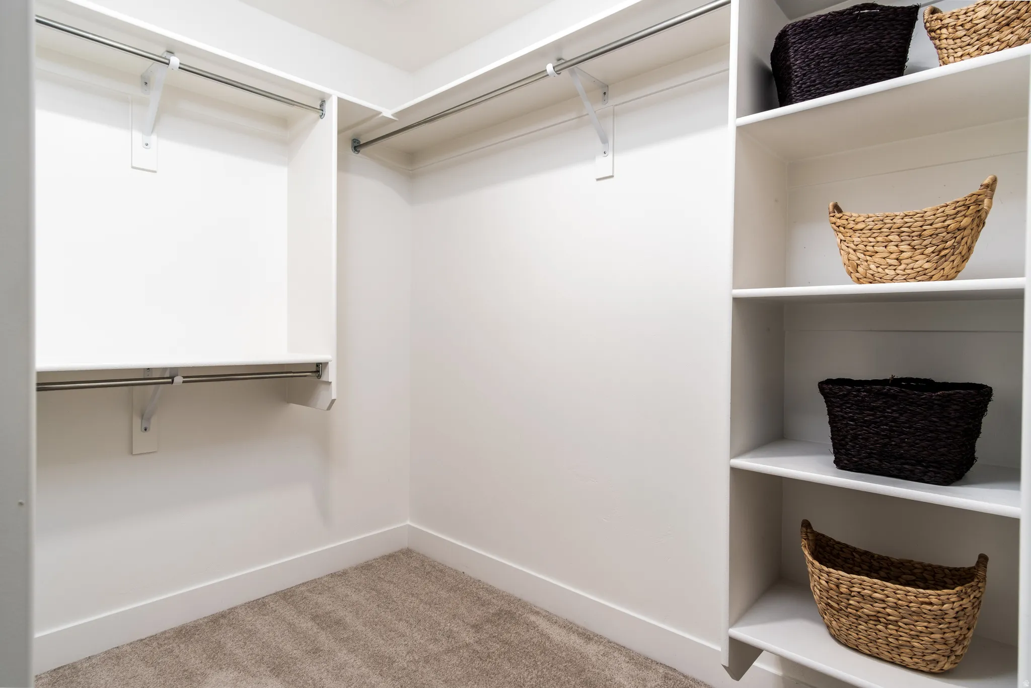 Spacious walk-in closet featuring built-in shelving, multiple hanging rods, and light-colored carpeting