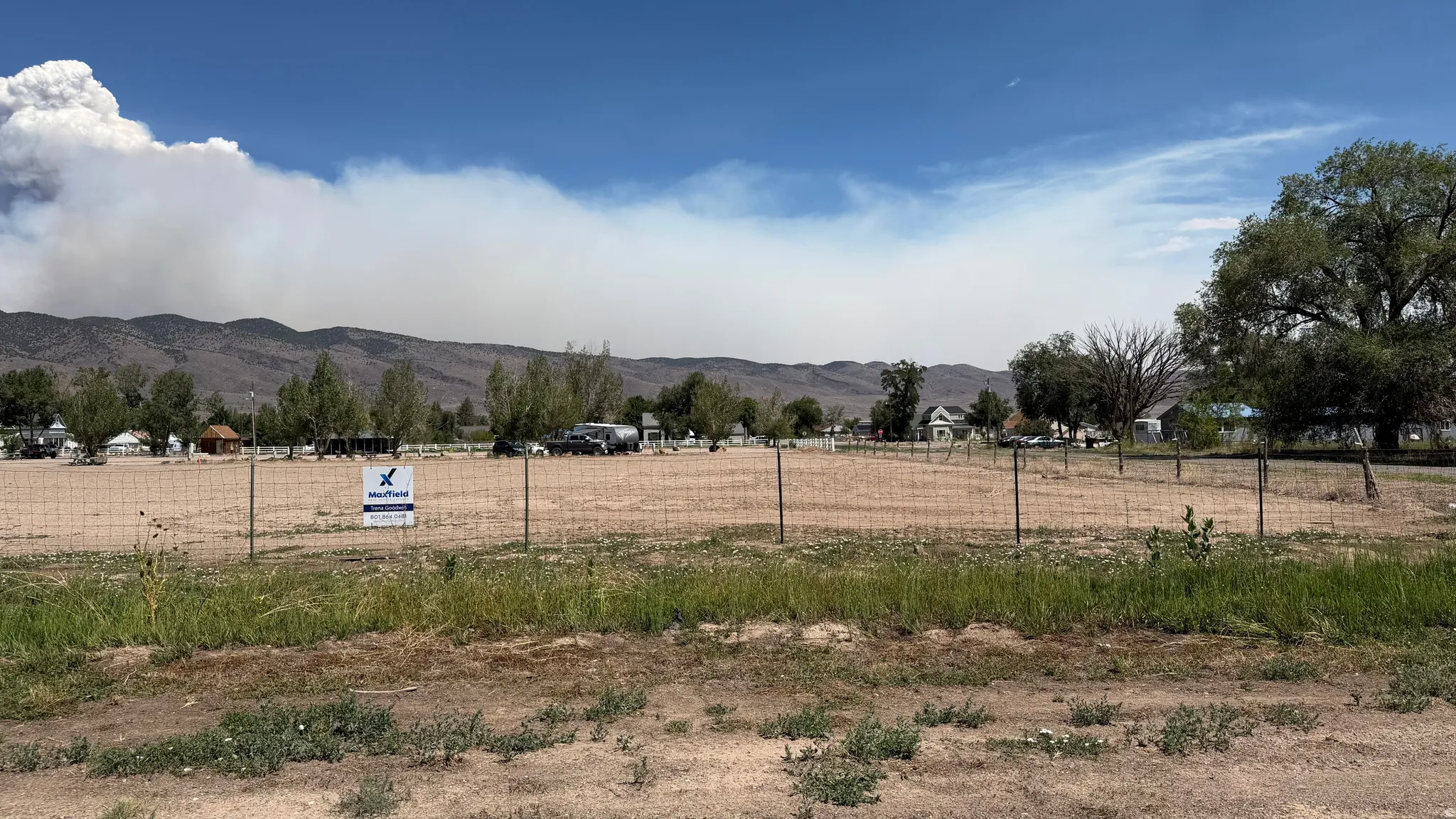 Expansive land parcel featuring existing perimeter fencing and mature trees