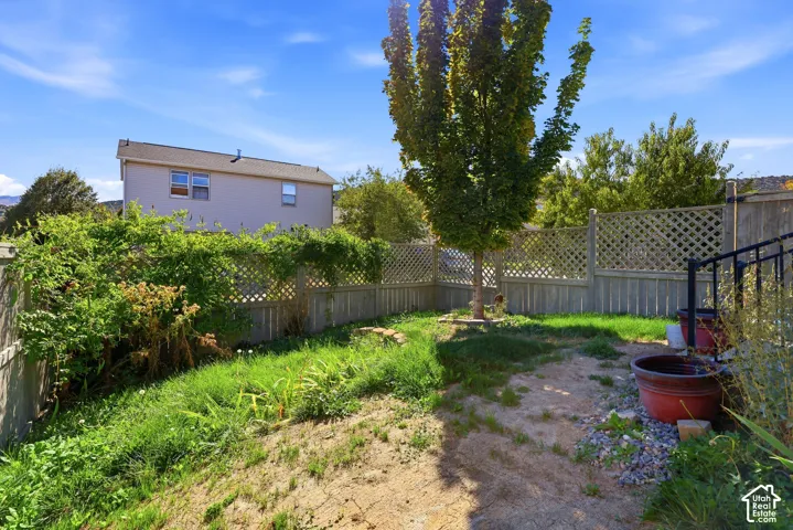 Fenced backyard featuring a mature tree, gravel pathway, and varied landscaping