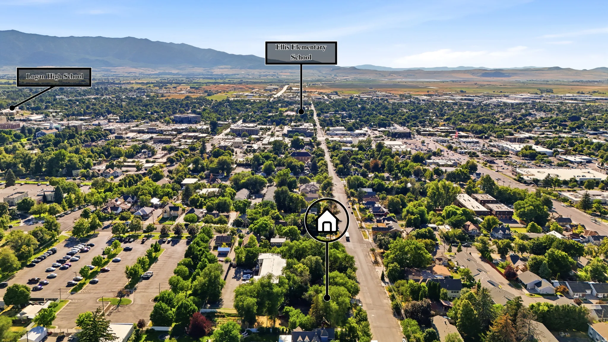 Aerial perspective showcasing a verdant urban landscape with residential and commercial structures