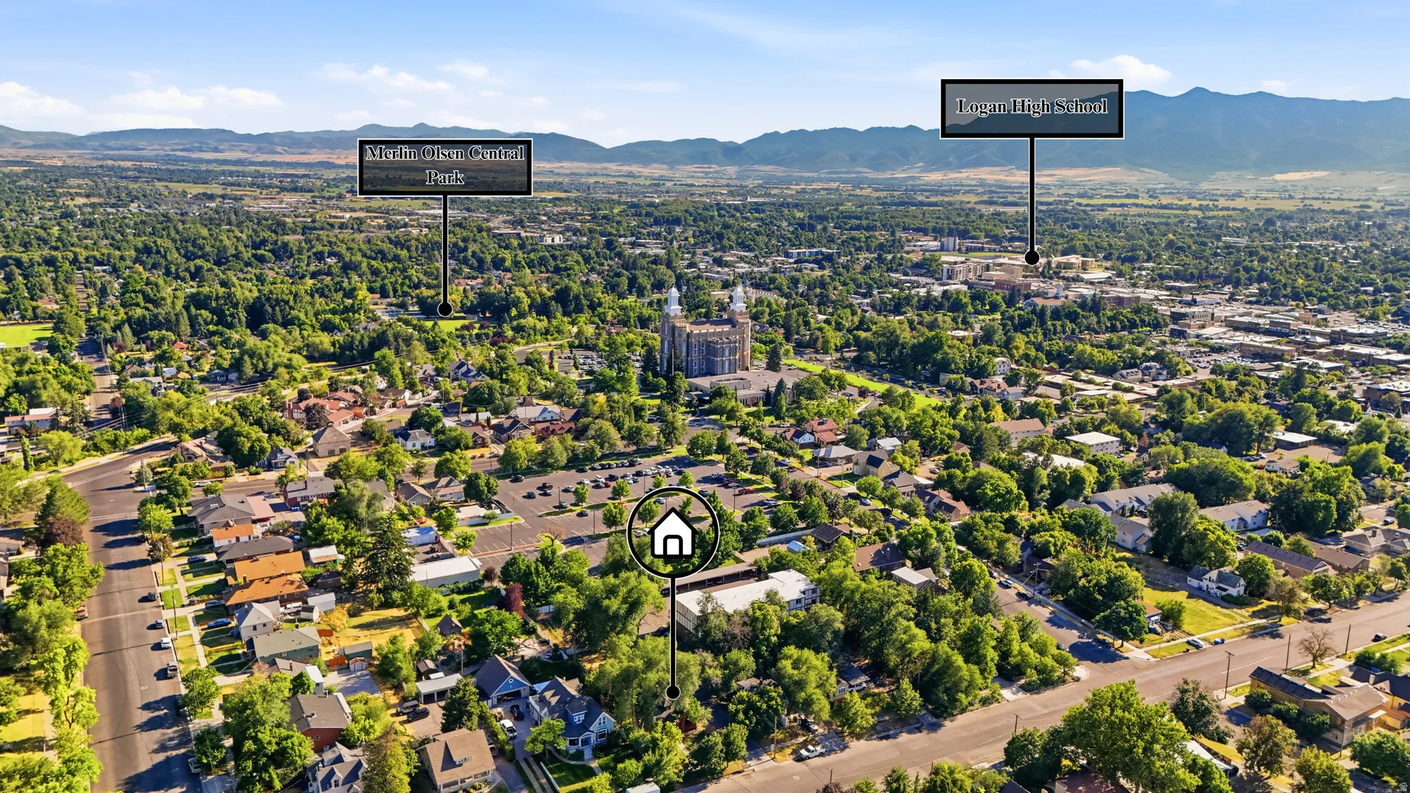Aerial perspective showcasing a verdant residential area with established trees and surrounding landscape