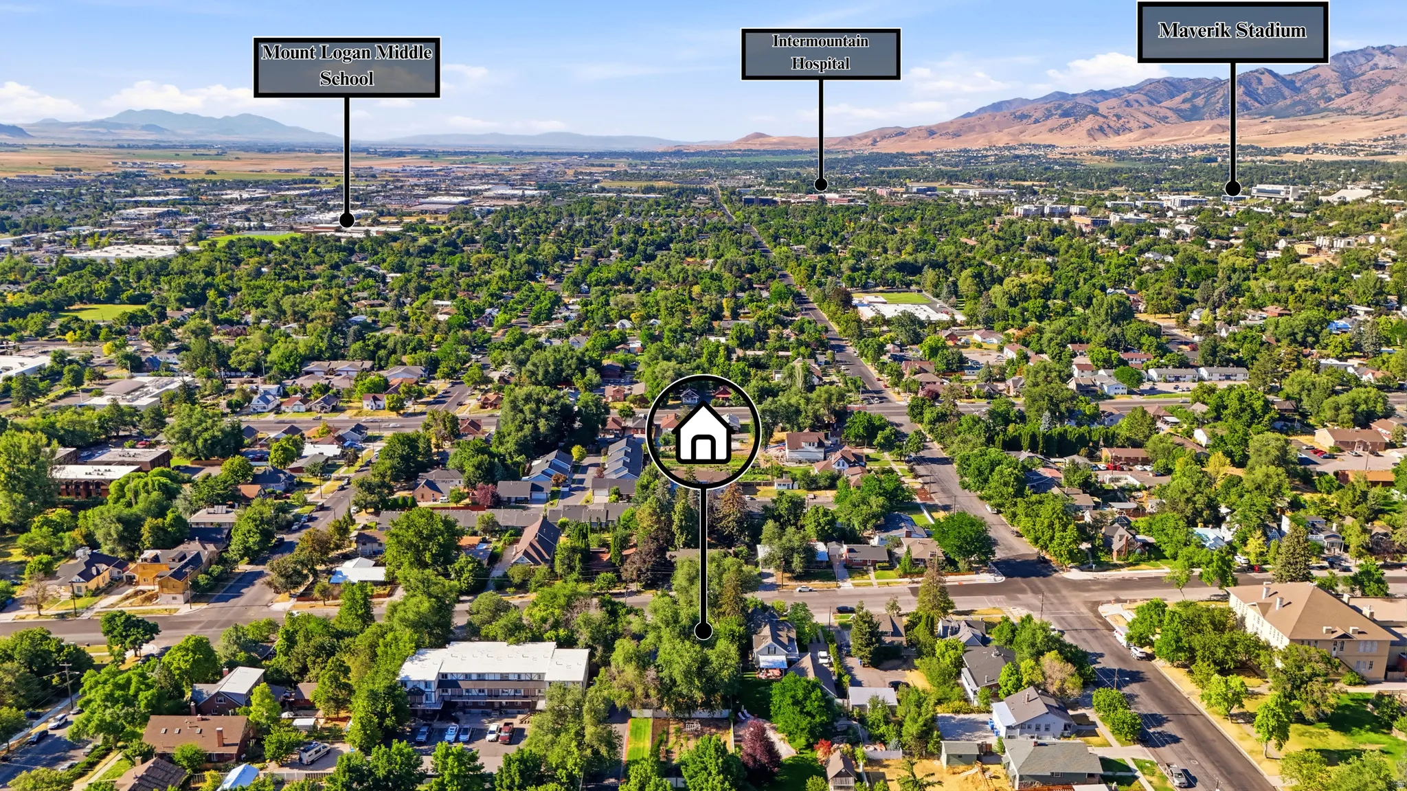 Aerial perspective showcasing a residential neighborhood with mature tree canopies